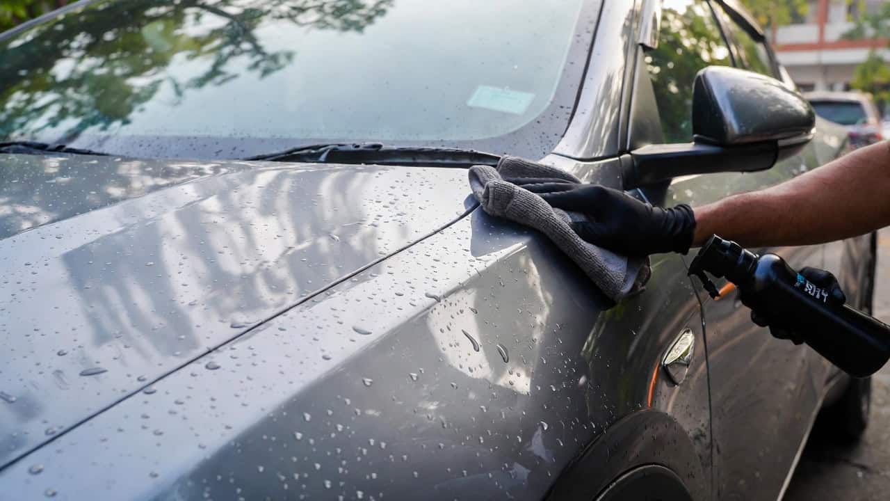 How to Remove Tree Sap from Car Without Damaging Paint 2026